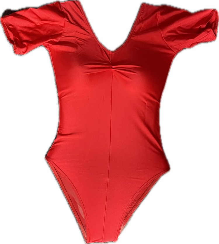 'Lorraine' Short Sleeve Nylon Lycra Leotard